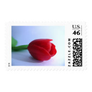 Single Red Tulip stamp