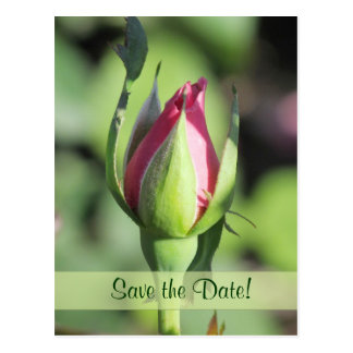meet rose bud singles Find great deals on ebay for single artificial flowers in floral home bud size: appr 1 single stem artificial rose hope you can meet with our requirement. meet rose bud singles Find great deals on ebay for single artificial flowers in floral home bud size: appr 1 single stem artificial rose hope you can meet with our requirement.
