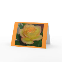 Single rose  card