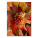 flowers, roses, sundown, clouds, painting,