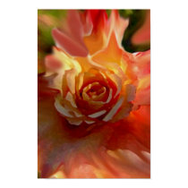 Single Rose posters