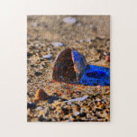 Single Shell Puzzle puzzles