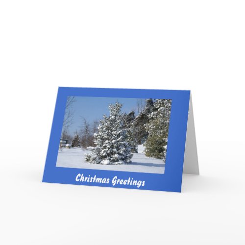 Single Snowladen Evergreen card