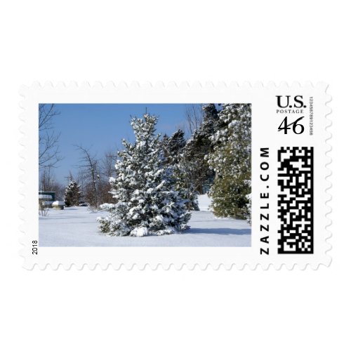 Single Snowladen Evergreen stamp