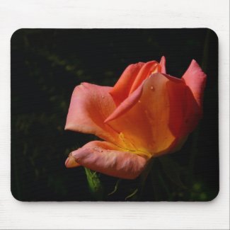 Single Stem Pink Rose mousepad