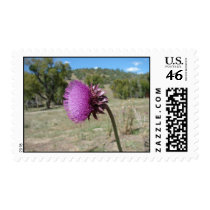 Single Thistle postage