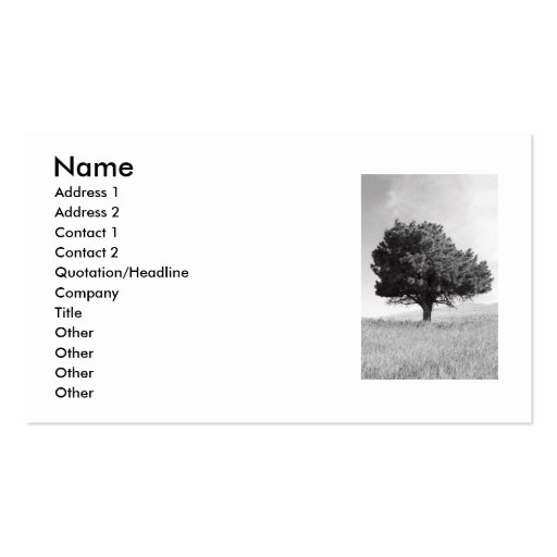 Single Tree Business Card (front side)
