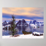 Single Tree Cove ~Print~