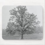 Single tree in field B&W Mousepad