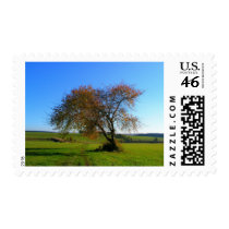 single tree postage
