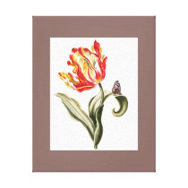 Single Tulip and Butterfly Floral Still Life Canvas Prints