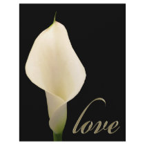 Single white calla lily letterhead design