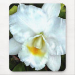 Single White Cattleya Mousepads