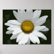 Single White Daisy Print
