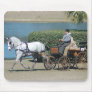 single white horse mousepad