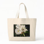 Single White Oleander with Bee 1
