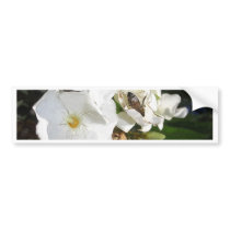 Single White Oleander with Bee 1 bumper stickers by LivingNature Single White Oleander with Bee 1 bumper stickers