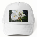 Single White Oleander with Bee 1