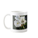 Single White Oleander with Bee 1