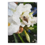Single White Oleander with Bee 1 Painterly