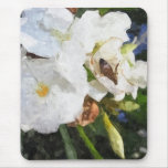 Single White Oleander with Bee 1 Painterly