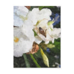 Single White Oleander with Bee 1 Painterly