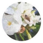 Single White Oleander with Bee 1 Painterly