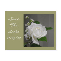 Single White Rose Save the Date Post Card