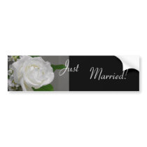 Single White Rose Wedding Bumper Sticker bumper stickers