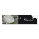 Single White Rose Wedding Bumper Sticker bumper stickers