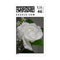 Single White Rose Wedding Collection stamps