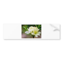 Single white wild flower bumper sticker