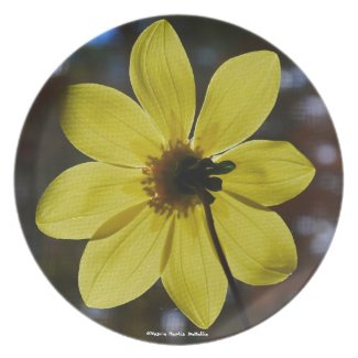 Single Yellow Flower Plate