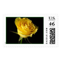 Single Yellow Rose Postage