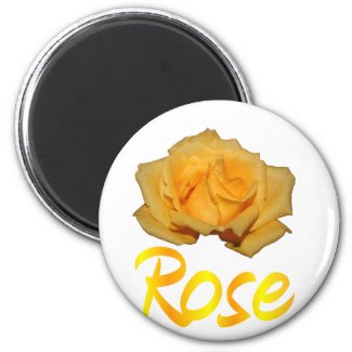 Single yellow rose with 