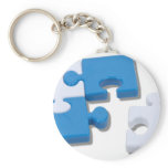 SingledPiecePuzzle101310 Key Chain