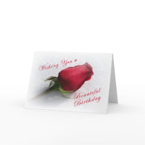 SingleRose on the Snow cards by MakaraPhotos SingleRose on the Snow cards