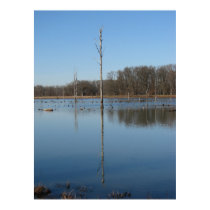 Singular reflection posters by iiiyaaa Singular reflection posters