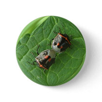 Sink bugs ~ button by Andy2302 Sink bugs ~ button