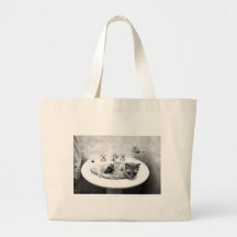 sink_cats_12 pets kitten animals adorable cuteness bags