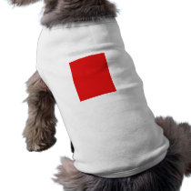 Sint Pieters Leeuw, Belgium pet clothing