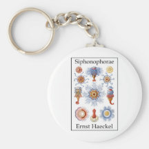 Siphonophorae by Ernst Haeckel Keychains