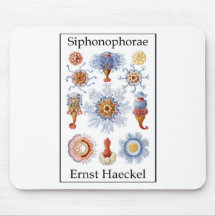 Siphonophorae by Ernst Haeckel Mouse Mats