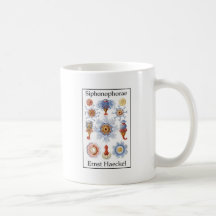 Siphonophorae by Ernst Haeckel Mug
