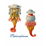Siphonophorae  - Jellyfish baby doll T T Shirts