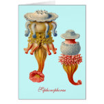 Siphonophorae  - Jellyfish Greeting Card