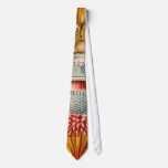 Siphonophorae  - Jellyfish Men"s Tie