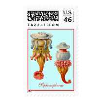 Siphonophorae  - Jellyfish Stamp
