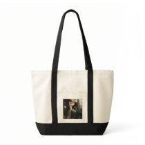 Sir Frank Dicksee, Romeo and Juliet Bag
