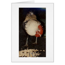 Sir Lancelot The Regal Rooster Card